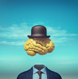 Постер к Тайная жизнь мозга. Как наш мозг думает, чувствует и принимает решения