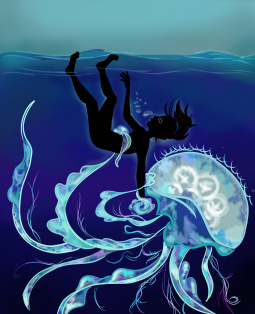 Постер к Доклад о медузах